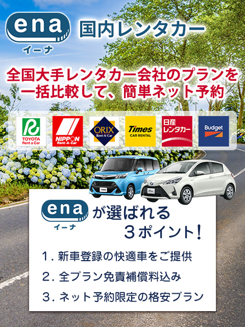 国内レンタカー