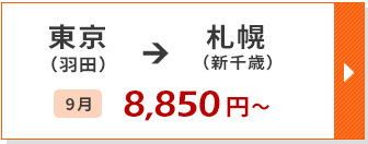 航空券