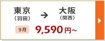航空券