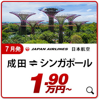 航空券