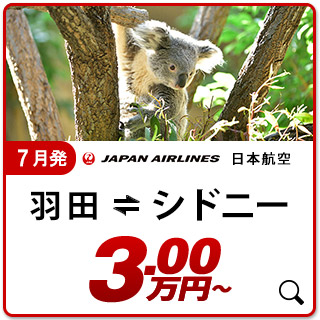 航空券