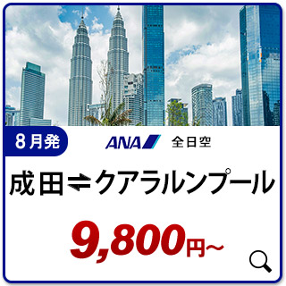 航空券