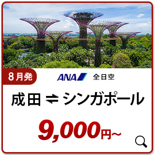 航空券