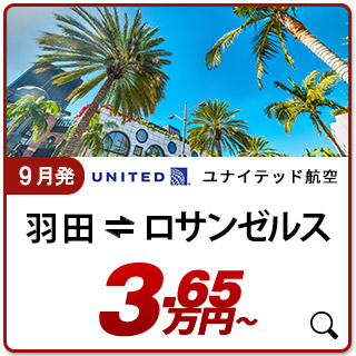 航空券