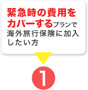 緊急時の費用をカバーする