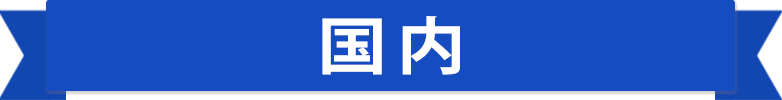 国内