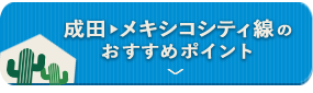 成田-メキシコシティ線のおすすめポイント