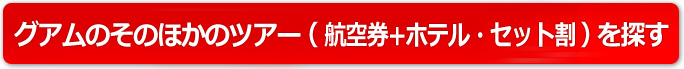 航空券+ホテル・セット割で探す