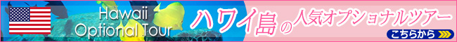 ハワイ島の人気オプショナルツアー