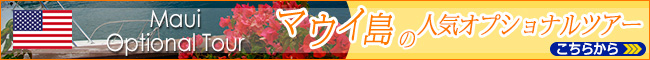 マウイ島の人気オプショナルツアー