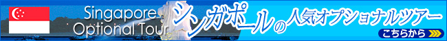 シンガポールの人気オプショナルツアー