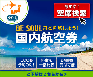 海外格安航空券ena(イーナ)